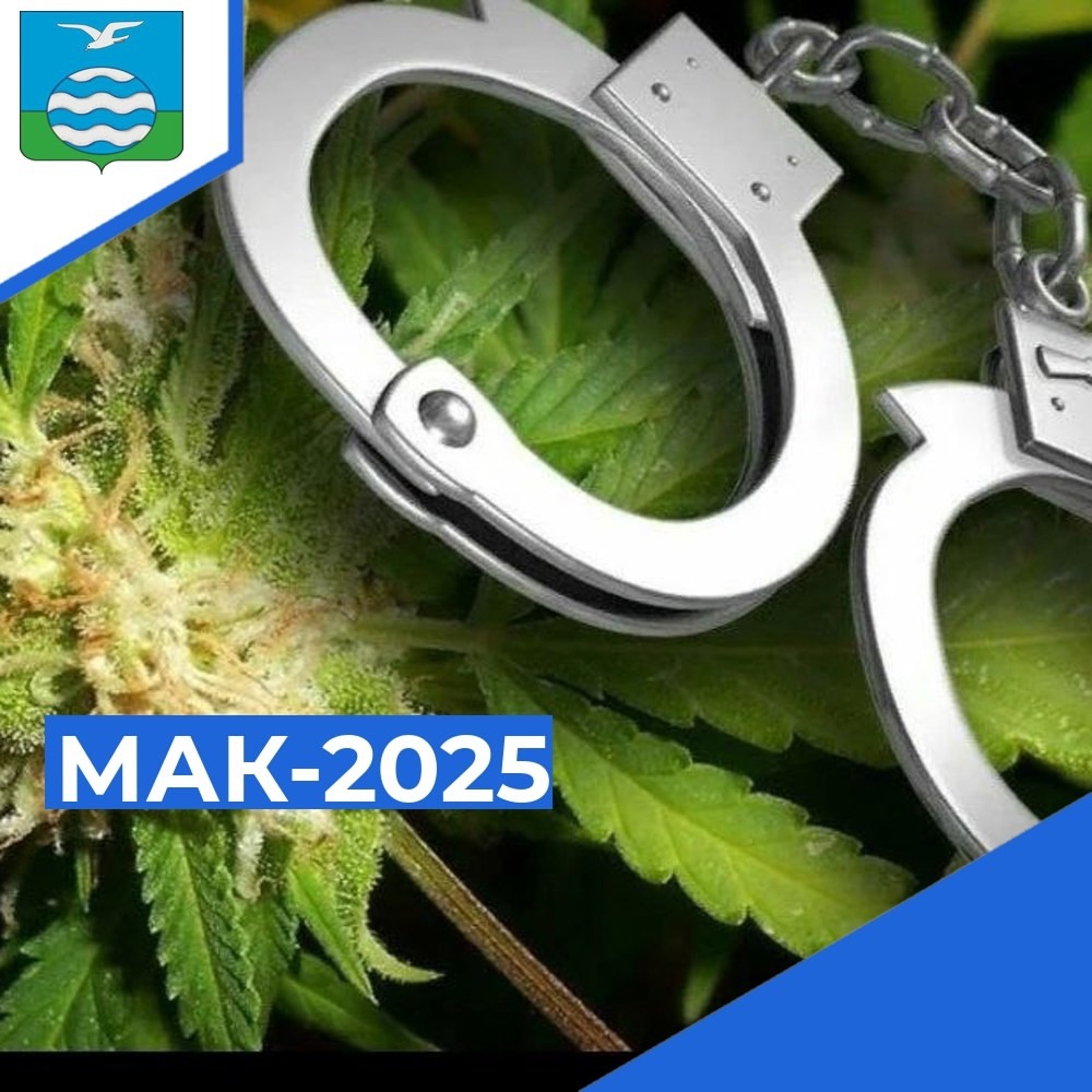 МАК 2025.