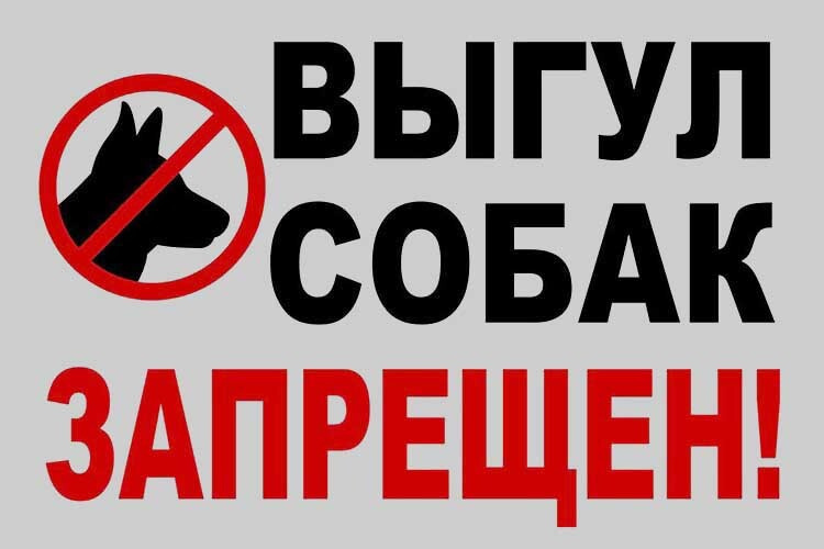 Уважаемые жители! Убедительная просьба  держать своих собак на привязи!.