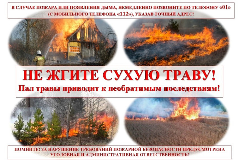 Не жгите траву!. Не жгите траву!.