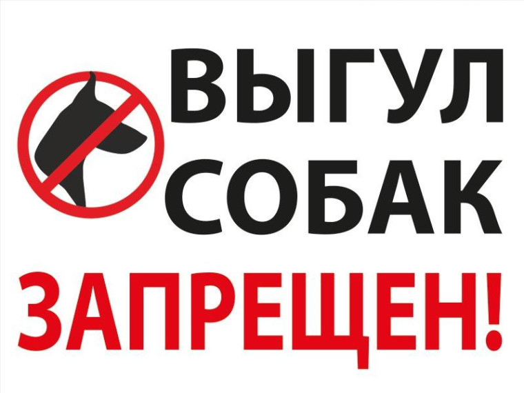 Бесконтрольный выгул животных. Бесконтрольный выгул животных.