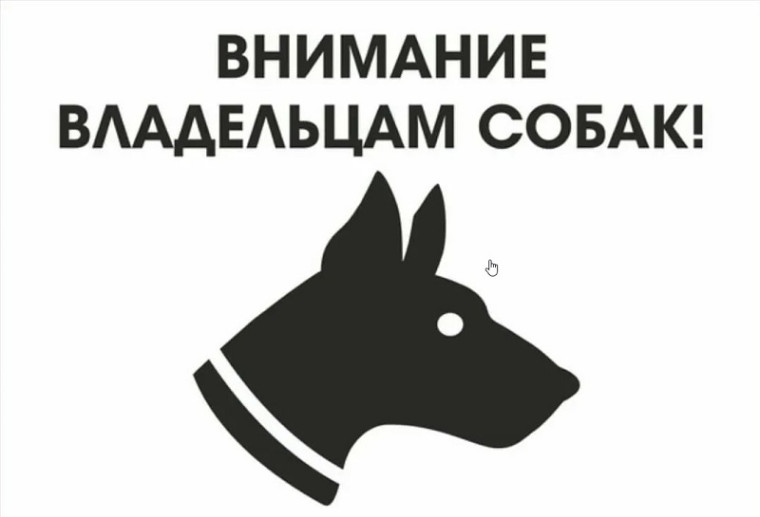 Уважаемые жители! Убедительная просьба держать своих собак на привязи!. Уважаемые жители! Убедительная просьба держать своих собак на привязи!.